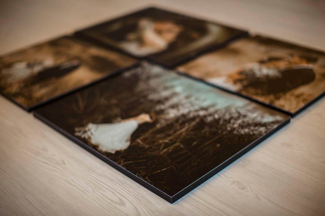 touchplate